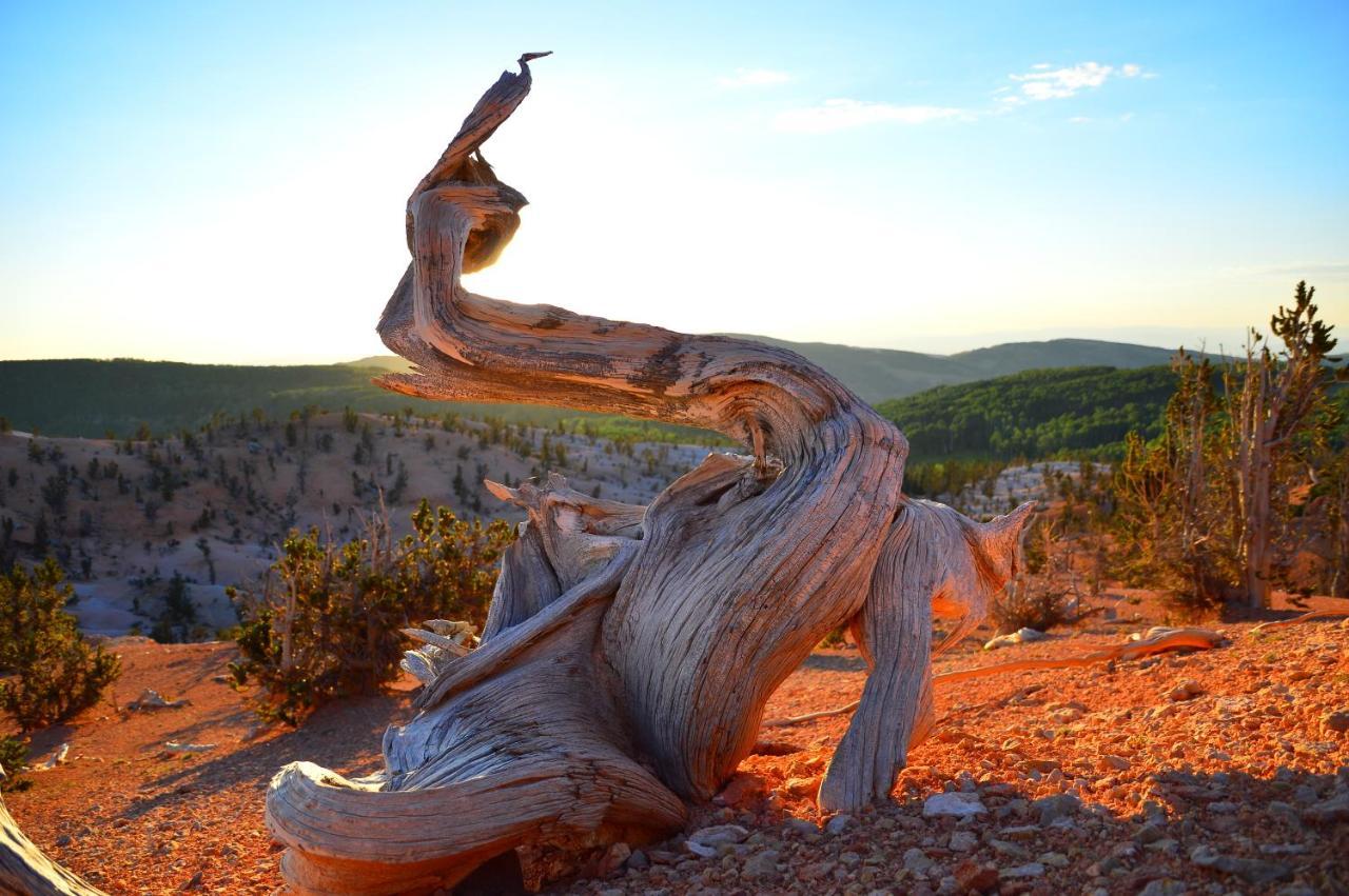 Iron Springs Luxury Lodge & Spa Cedar City Esterno foto