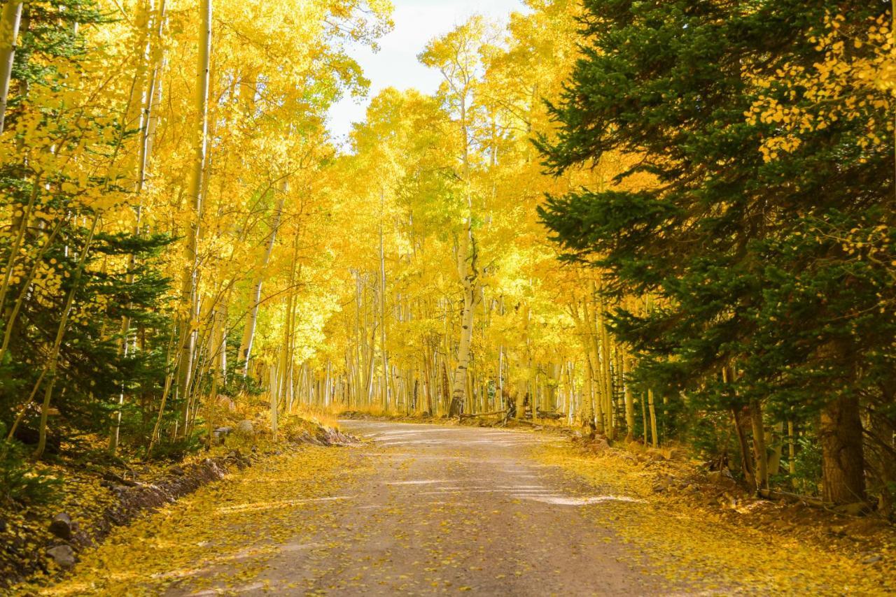Iron Springs Luxury Lodge & Spa Cedar City Esterno foto
